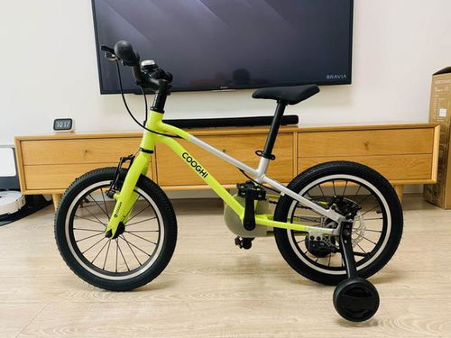 騎上它,你就是最靚的仔 酷騎f3兒童自行車評(píng)測(cè)