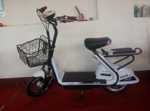 天津市薊縣薊邦電動車制造廠 專業電動自行車制造引領綠色出行